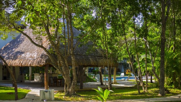Garden - Selvakoba 63 (Playa del Carmen)