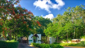 Front of property - Selvakoba 63 (Playa del Carmen)