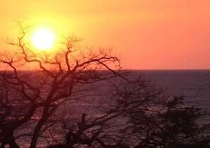 Vista da propriedade