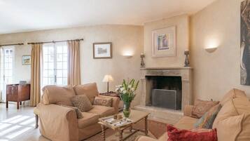 TV connectée, cheminée, lecteur de DVD, livres