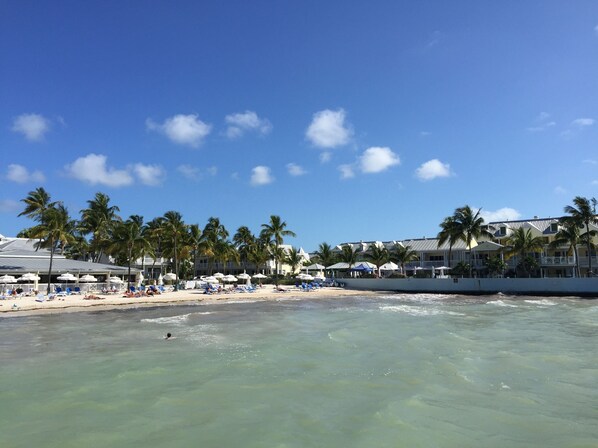 Plage à proximité, chaises longues, serviettes de plage