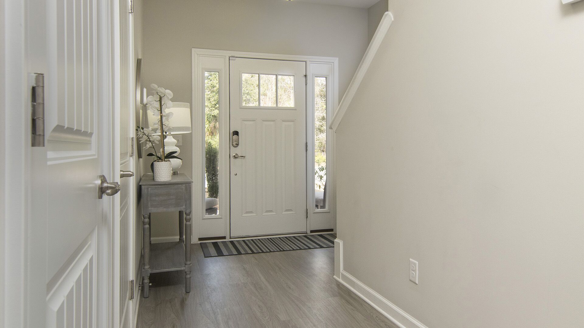 A hallway with a white door, a small table with a potted plant, and a rug leading to the door.