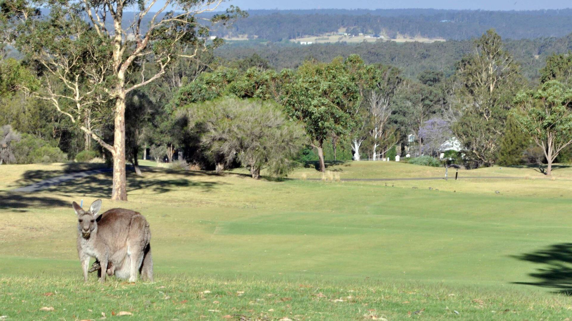 Villa 3br Beaujolais Villa located within Cypress Lakes Resort — image 2