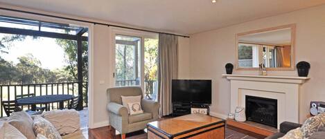 Una televisión, una chimenea, un reproductor de DVD