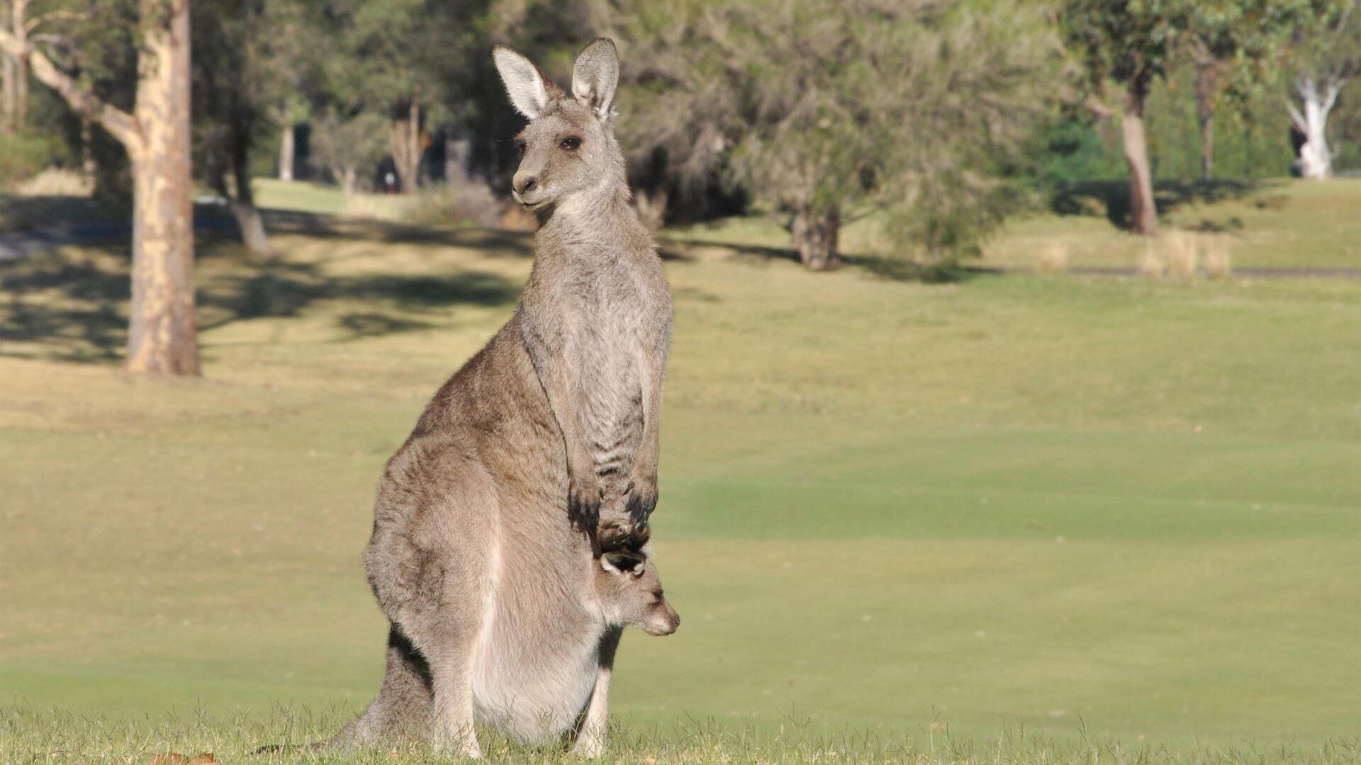 Villa 3br Beaujolais Villa located within Cypress Lakes Resort — image 25