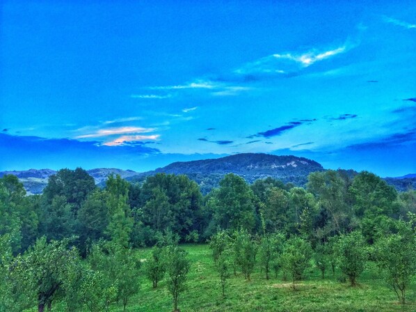 Unclassified image, 1 of 12, button