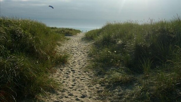 A sandy path flanked by grass leading to a body of water.