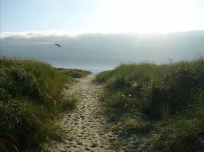 A sandy path flanked by grass leading to a body of water.