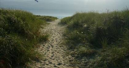 Upea tammi- ja seetritalo 1/2 korttelin päässä Manzanitan rannalta!