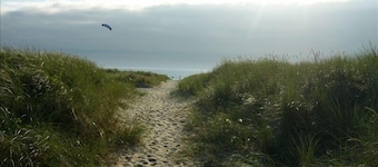 Gorgeous Oak & Cedar House 1/2 Block from Manzanita Beach!
