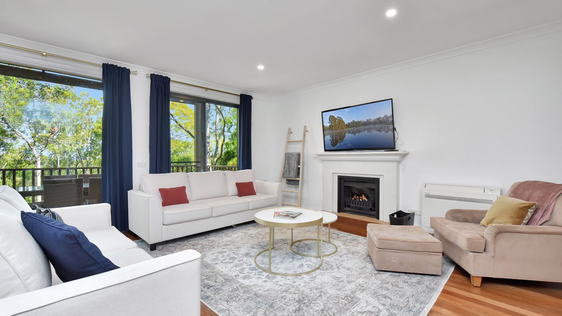 電視、壁爐、DVD 播放機