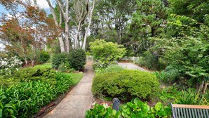 A garden pathway with a bench, surrounded by various plants and trees. - Dogs Stay Free. Cosy Restful Retreat with Fireplace. (Wentworth Falls)
