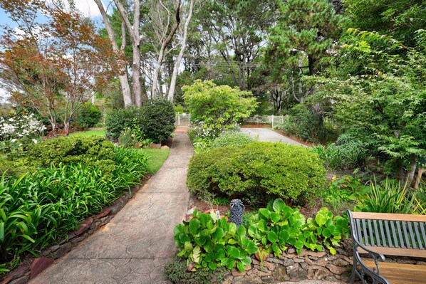 A garden pathway with a bench, surrounded by various plants and trees.