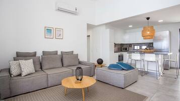 TV, DVD player, table tennis, video library