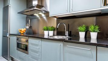 Een moderne keuken met roestvrijstalen apparatuur, een inbouwoven en een spoelbak met kraan. Er staan potplanten op het aanrecht en een fruitschaal links.