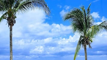 Plage, chaises longues, serviettes de plage