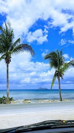 A beach with palm trees and a cruise ship in the distance. - 129Nght Sep/Oct Cozumel 2 Bdrs Villa Beach/OceanFront Snorkeling Diving Paradise (Cozumel)