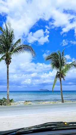On the beach, sun-loungers, beach towels. 129Nght Sep/Oct Cozumel 2 Bdrs Villa Beach/OceanFront Snorkeling Diving Paradise