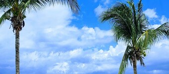 129Nght Sep/Oct Cozumel 2 Bdrs Villa Beach/OceanFront Snorkeling Diving Paradise