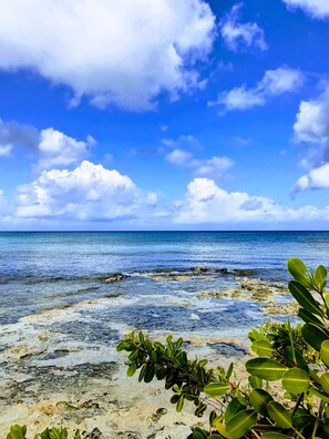 On the beach, sun-loungers, beach towels - 129Nght Sep/Oct Cozumel 2 Bdrs Villa Beach/OceanFront Snorkeling Diving Paradise (Cozumel)