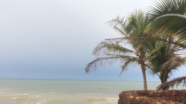 Een strand met een palmboom en rotsformaties.