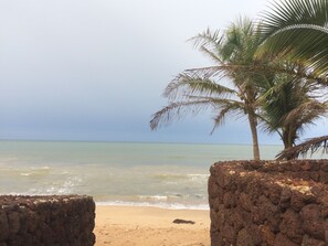 A beach with a palm tree and rocky formations. - Villa NOPALOU 2 minutes from the beach (Yenne Tode)