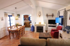 TV, fireplace, DVD player