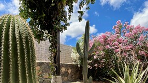 A cactus garden with various cacti and flowering plants, a stone wall, and a clear blue sky. - Aloe Villa - Spacious and luminous villa with heated pool -Fiber (La Oliva)
