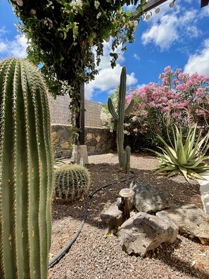 Jardines del alojamiento