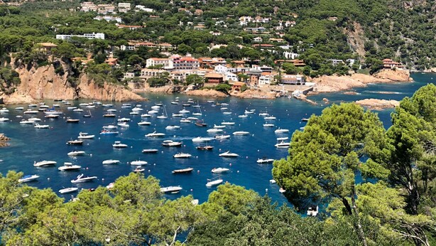 A coastal town with numerous boats anchored in the bay, surrounded by lush green hills and residential buildings. - Beautiful Apartment with Sea Views and the Port of Fornells (Fornells)