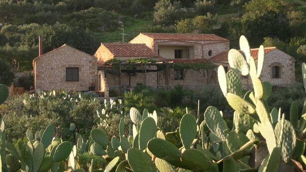 A stone building with a tiled roof, surrounded by cacti and greenery. - Bed & Breakfast Baglio Fanara # 2 (Suite) (San Vito lo Capo)