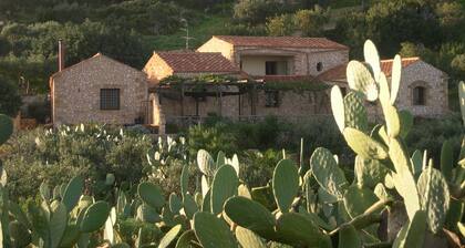 Bed & Breakfast Baglio Fanara # 2 (Suite)