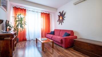 TV, lettore DVD, libri