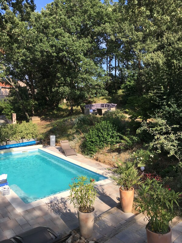 Een zwembad met een loungeruimte, omgeven door bomen en planten in potten.