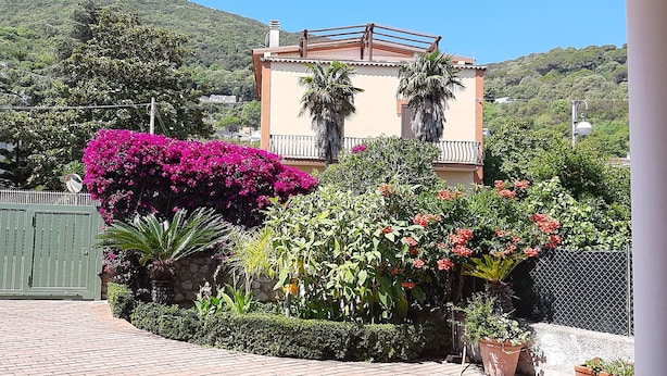 A house with a balcony, surrounded by lush greenery and flowering plants.