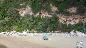A beach with rocky terrain and sparse vegetation.