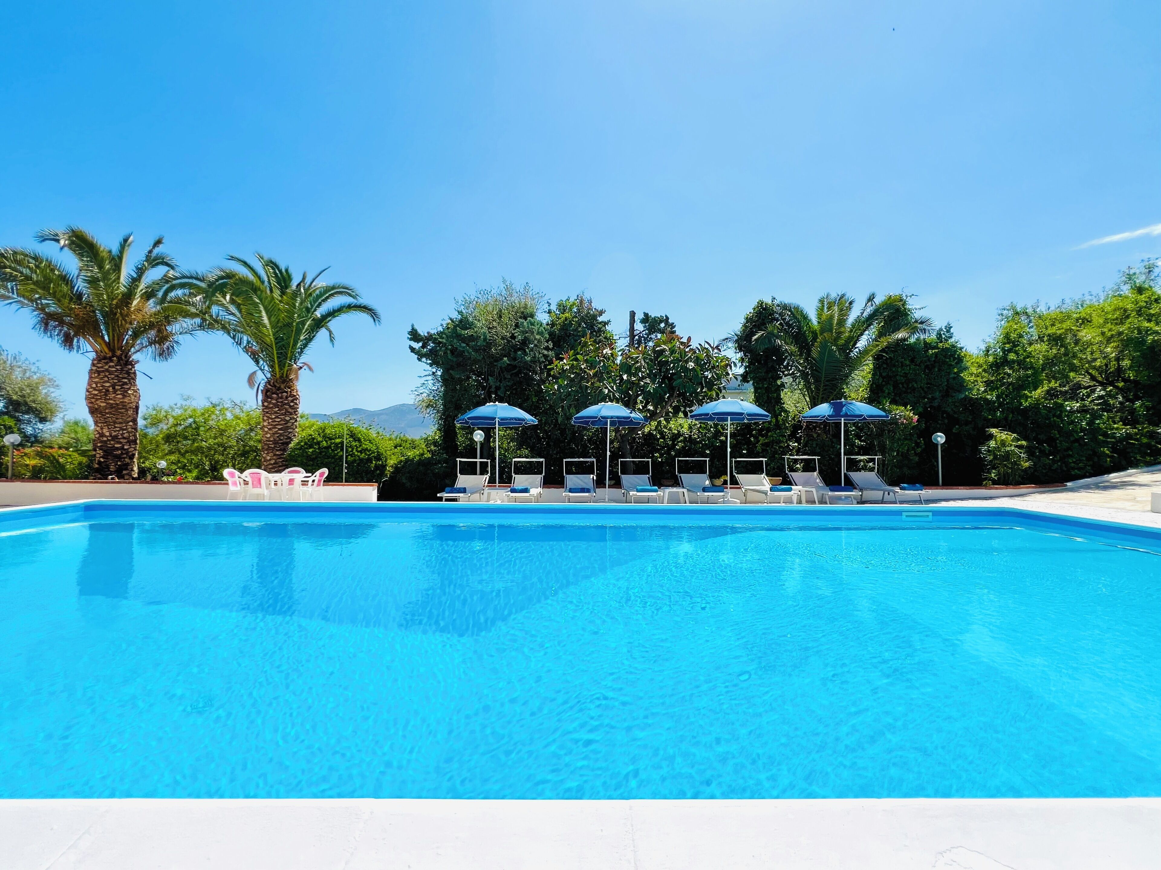 A clear blue swimming pool with lounge chairs and umbrellas, surrounded by palm trees and greenery.