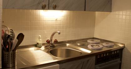 CHARMING STUDIO AM FUSS DER PISTEN / Thyon 1800