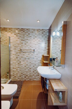 Shower, hair dryer, bidet, towels