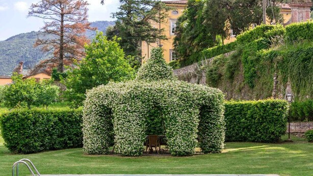 A pool with a hedge structure, a chair, and a building in the background. - Casa Matteucci     . (Capannori)