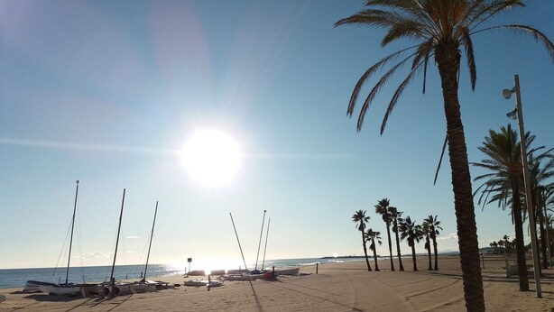 Een strand met boten, palmbomen en een heldere lucht.