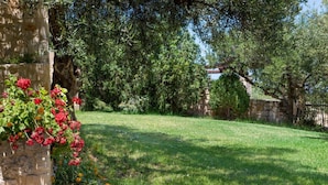A stone wall, a grassy lawn, and trees in a garden setting.