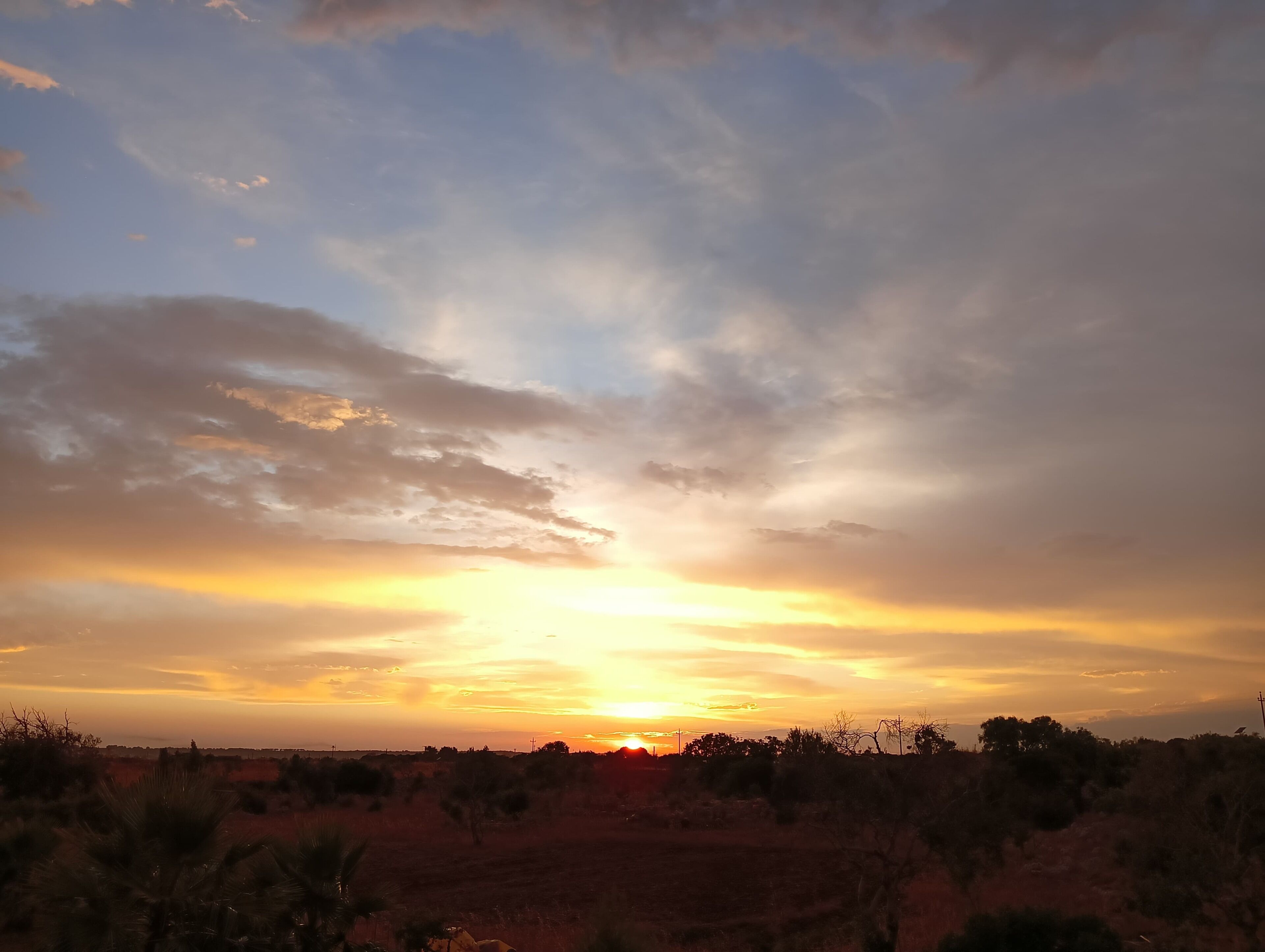 A sunset over a flat landscape with sparse vegetation.