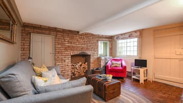 Smart TV, fireplace, books