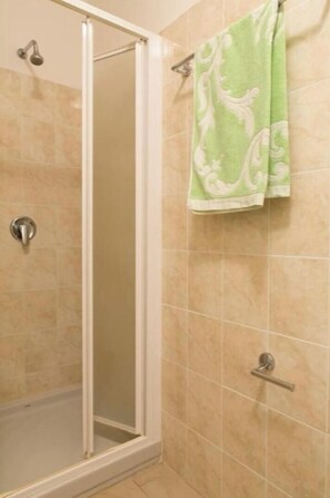 Shower, bidet, towels, toilet paper