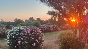 A garden with a path, flowering bushes, and trees during sunset. - Terraced house with dehors adjacent beach in residence (San Teodoro)
