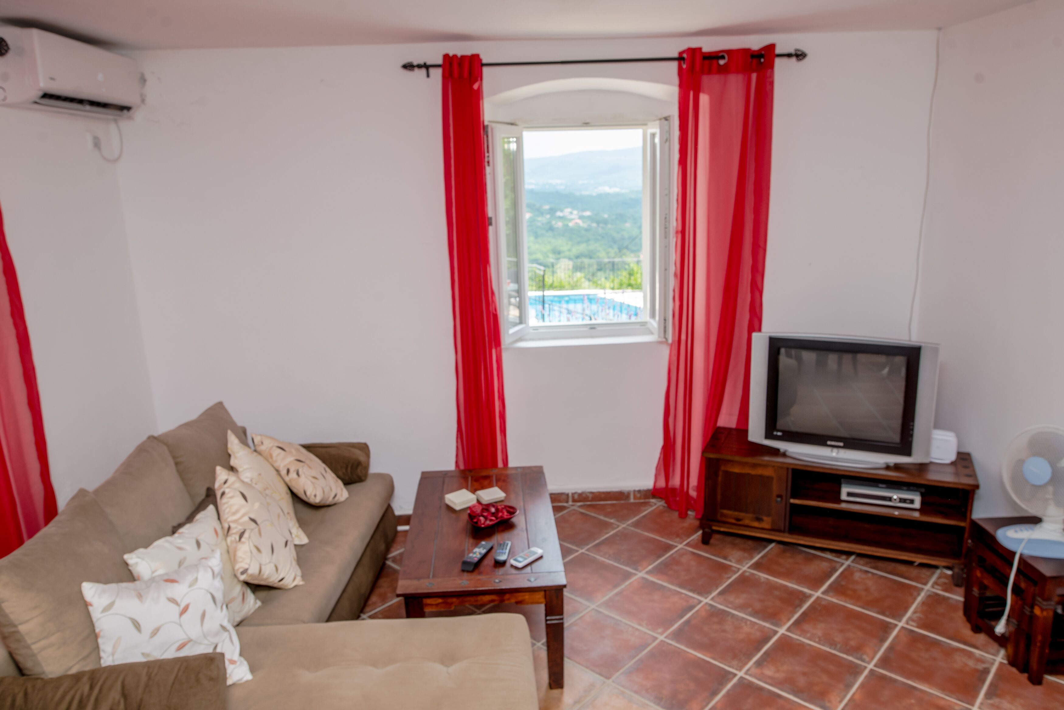 TV, DVD player, books, video library