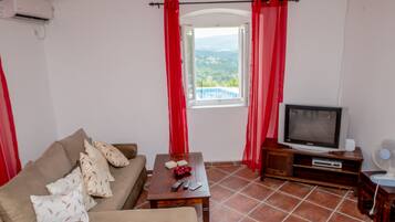 TV, DVD player, books, video library