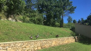 A stone retaining wall with a grassy slope and trees in the background.