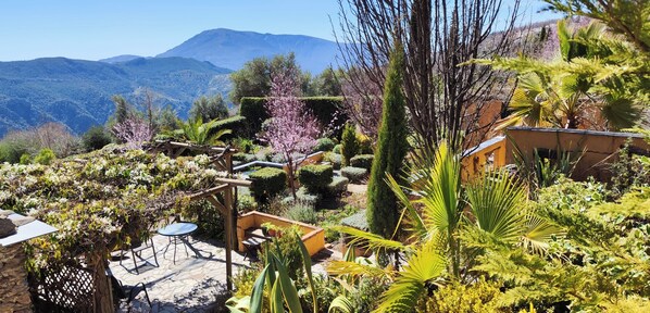 Jardines del alojamiento